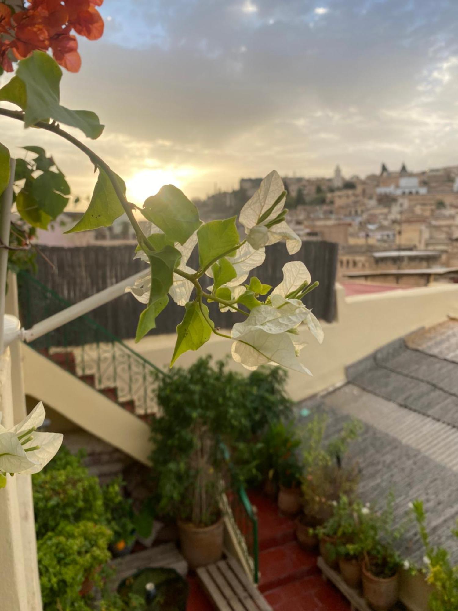Riad Taj Salma Fez Exterior foto
